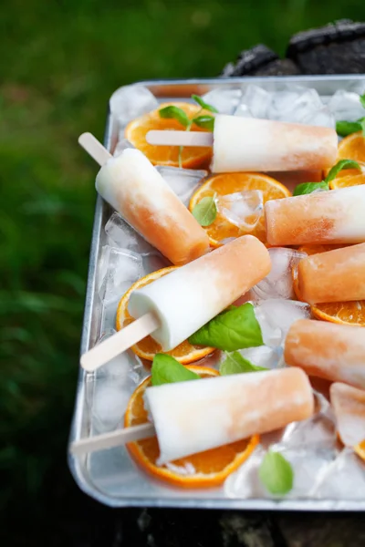 Homemade frozen yogurt — Stock Photo, Image