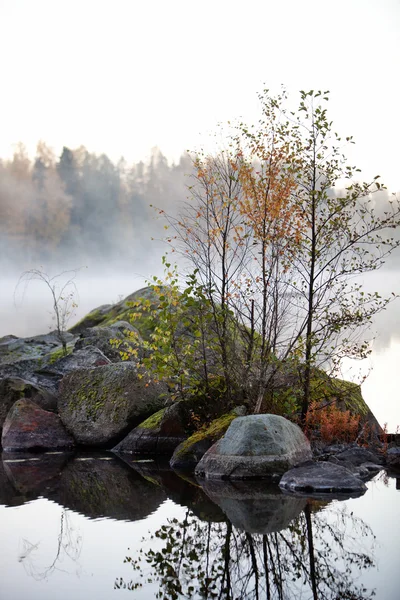 Misty ochtend bij het meer — Stockfoto