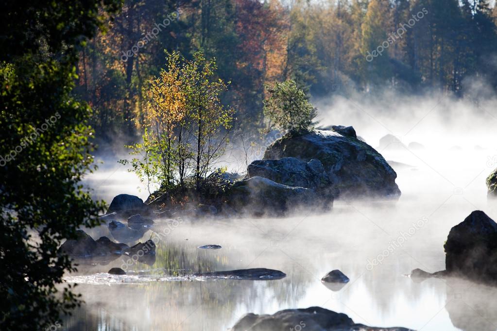 Misty morning by the lake