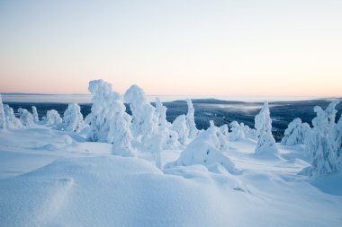Lapland Finland kışın