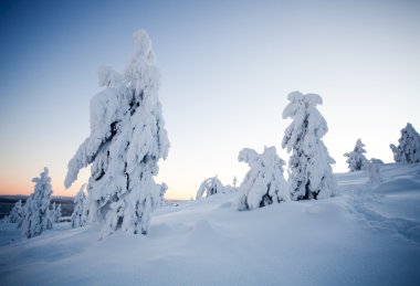 Lapland Finland kışın