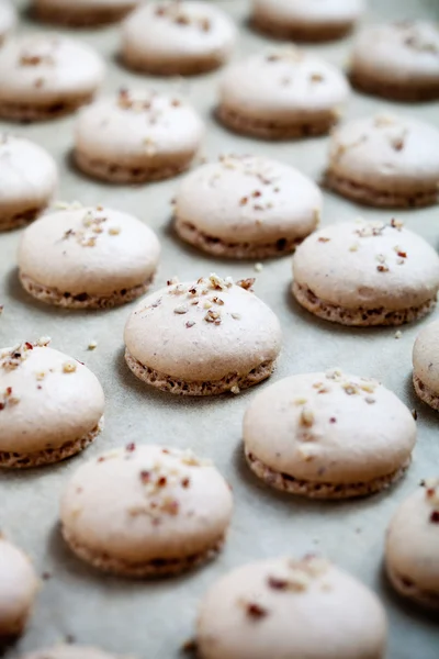 Macaroons com nozes e chocolate — Fotografia de Stock