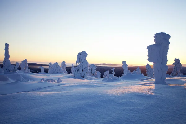 Invierno en Laponia Finlandia —  Fotos de Stock