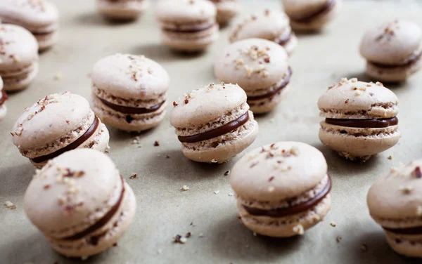 Macaroons with nuts and chocolate — Stock Photo, Image