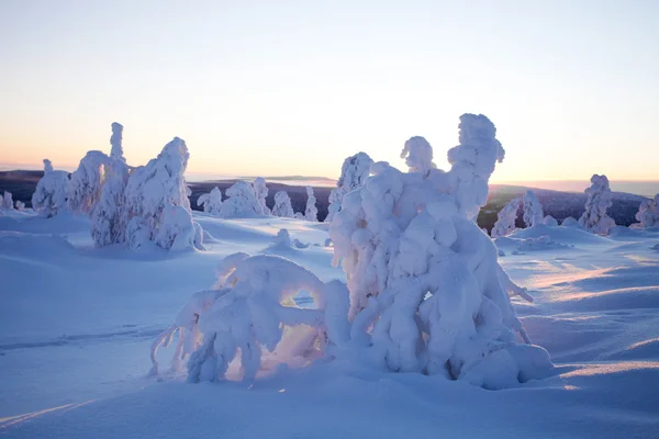 Winter in Lapland Finland — Stockfoto