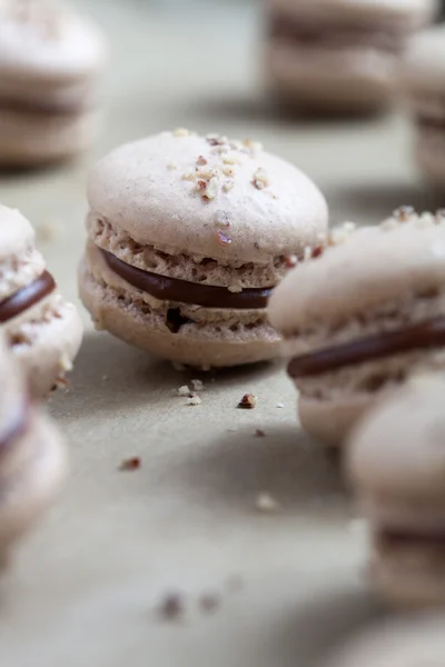 Macaroons with nuts and chocolate — Stock Photo, Image