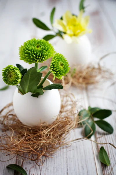 Décoration de Pâques en coquilles d'œufs — Photo