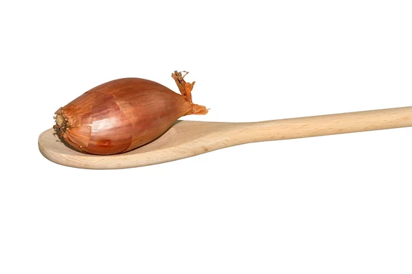 Single onion on a light wooden spoon — Stock Photo, Image