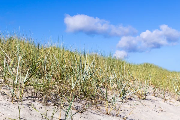 Na plaży. — Zdjęcie stockowe