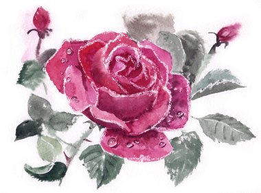 Suluboya çiğ damlaları ile yükseldi