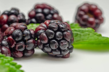 Nane, taze ve olgun orman meyveleri ve doğal vitaminlerle bir dizi böğürtlen.