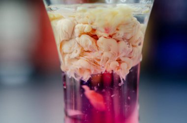 Krema, likör ve nar şurubuna dayanan ilginç bir içki. Adı da Beyin Kanaması. Cadılar Bayramı partisi için hazırlanıyor.