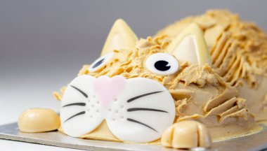 Kek kedisi, madeira süngeri, katmanlı ve karamel aromalı krema kaplı, yenilebilir şeker süslemeleri ile bitirilmiş, doğum günü pastası