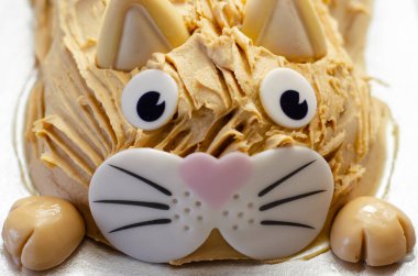 Kek kedisi, madeira süngeri, katmanlı ve karamel aromalı krema kaplı, yenilebilir şeker süslemeleri ile bitirilmiş, doğum günü pastası