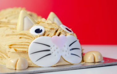 Kek kedisi, madeira süngeri, katmanlı ve karamel aromalı krema kaplı, yenilebilir şeker süslemeleri ile bitirilmiş, doğum günü pastası