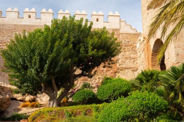 ALMERIA, İspanya - 07 NOVEMBER 2025 İspanya 'nın Almerya kentindeki Cerro de San Cristobal kalesi ve duvarları, İber Yarımadası' ndaki en önemli Endülüs anıtsal ve arkeolojik komplekslerinden biri.