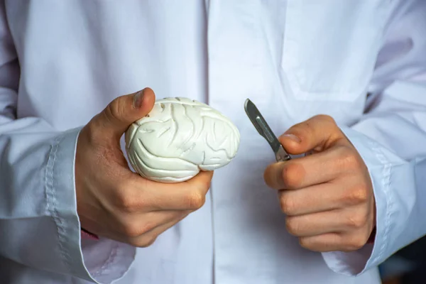 Concept Brain Surgery Neurosurgery Neurosurgeon Holding Scalpel Hand Anatomical Model — Stock Photo, Image