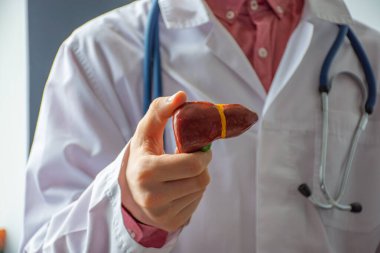 Bir doktor, hepatolog ya da gastroenterolog karaciğerin anatomik, küçültülmüş bir modelini hastaya ya da kameraya gösteriyor. Gastroenteroloji fotoğraf konsepti
