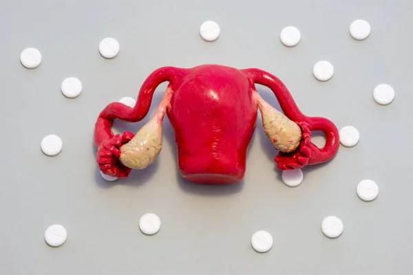Anatomiczny Model Macicy Samicy Jajnikami Jest Szarym Tle Białymi Tabletkami — Zdjęcie stockowe