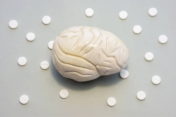 Мозг Сером Фоне Таблетками Рисунке Горошек Фото Обозначающее Серое Вещество — стоковое фото