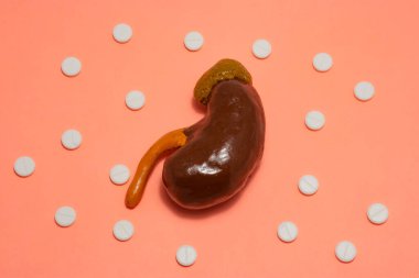 Sembol veya böbrek nefrolojisi, tedavi ve teşhis konsepti. Bir insan ya da hayvan böbreğinin anatomik figürü bej bir arka planda, etrafında benek deseni oluşturan haplarla çevrilidir.