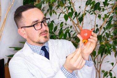 Ürologla randevuda prostat hastalıklarının açıklaması. Doktor, hastayla konuşmak, prostat modeline işaret ediyor, ki bu da prostat iltihabı, bez büyümesi gibi hastalıklara neden olabilir.