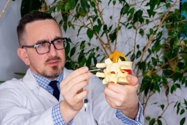 Omurganın bulanık arka plandaki doktorun ellerinde odaklanmış bir parçası. Bir doktor ya da bilim adamı omurganın anatomik bir parçası olarak spinöz sürece işaret eder.