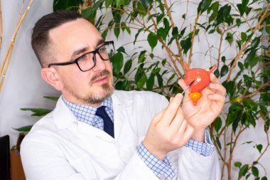 Mesane hastalığını hastaya açıkla. Randevudaki doktor idrar kesesi modeli gösteriyor. Hastalığın muhtemel lokalizasyonunu gösteriyor. Mesaneye odaklan.