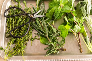 Tepsi üzerinde taze otlar 