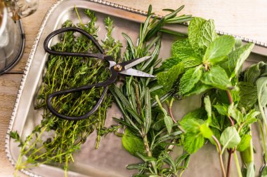 Tepsi üzerinde taze otlar 