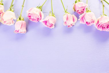 Güzel pembe güller