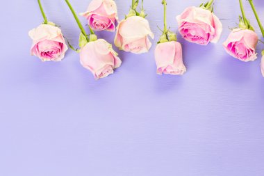 Güzel pembe güller