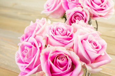 Pembe Gül görünümü