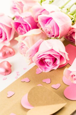 Pembe Gül görünümü