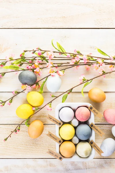 复活节彩蛋涂上蛋天然染料 — 图库照片