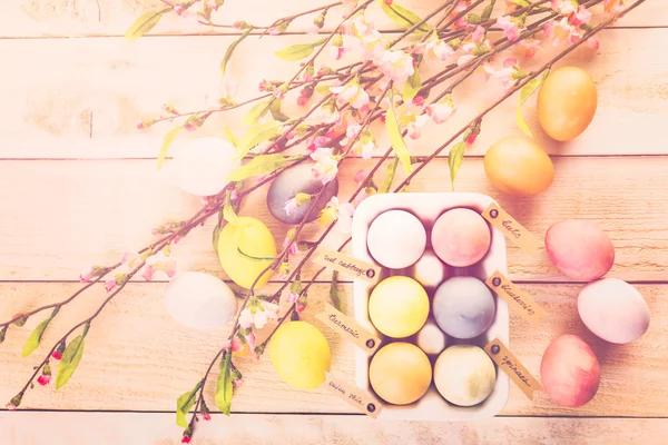 Пасхальні яйця пофарбовані — стокове фото