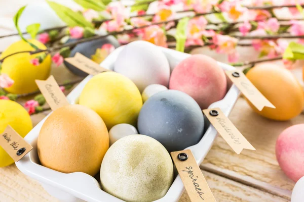 Huevos de Pascua pintado — Foto de Stock