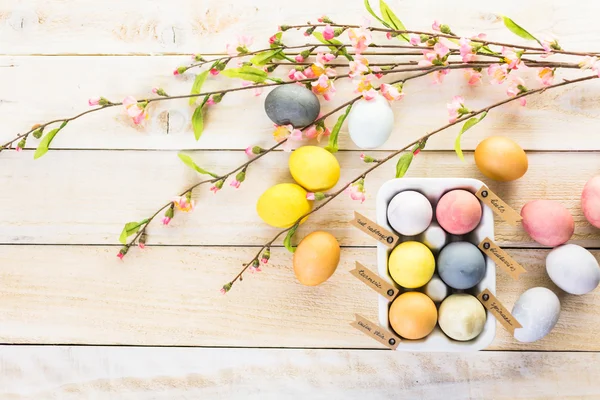 Пасхальні яйця пофарбовані — стокове фото