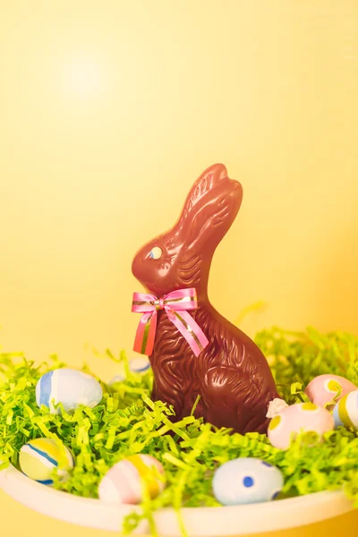 Conejo de Pascua de chocolate — Foto de Stock