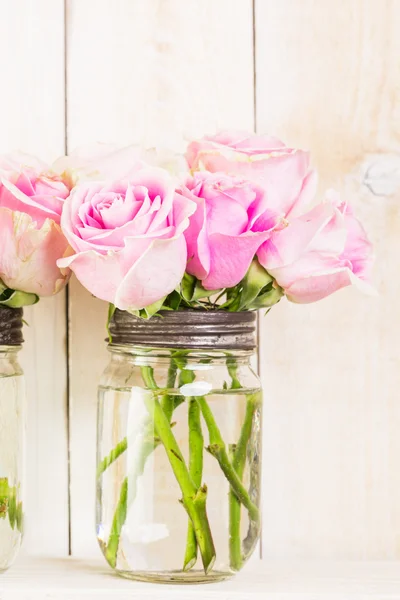 Pink roses close up — Stock Photo, Image