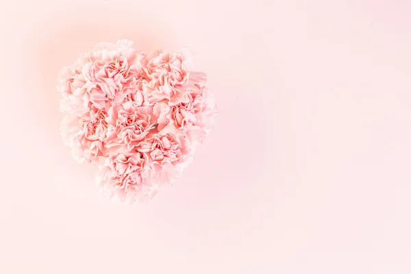 Гвоздики квіти у формі серця — стокове фото