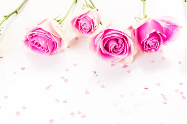 Roze rozen close up — Stockfoto