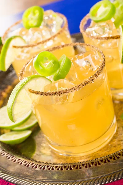 Spicy grapefruit margarita — Stock Photo, Image