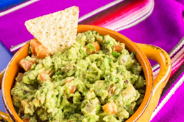 Guacamole segar buatan sendiri — Stok Foto