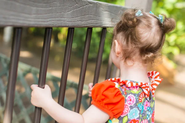 Barn girl att utforska naturen — Stockfoto