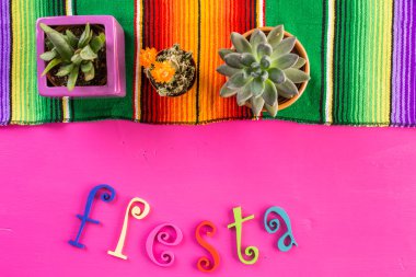 Fiesta renkli masa süslemeleri