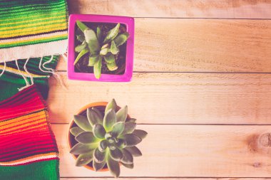 Fiesta renkli masa süslemeleri