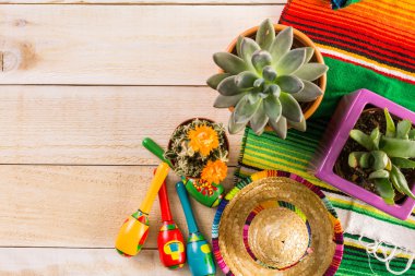 Fiesta renkli masa süslemeleri