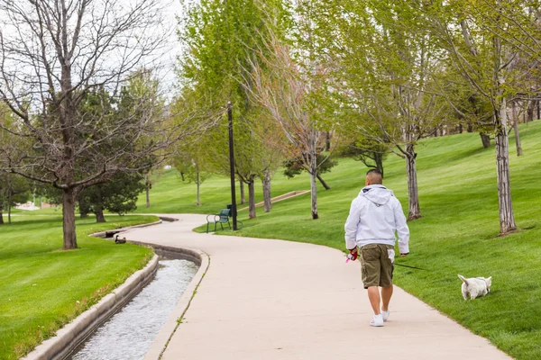 Urban park view — Stock Photo, Image