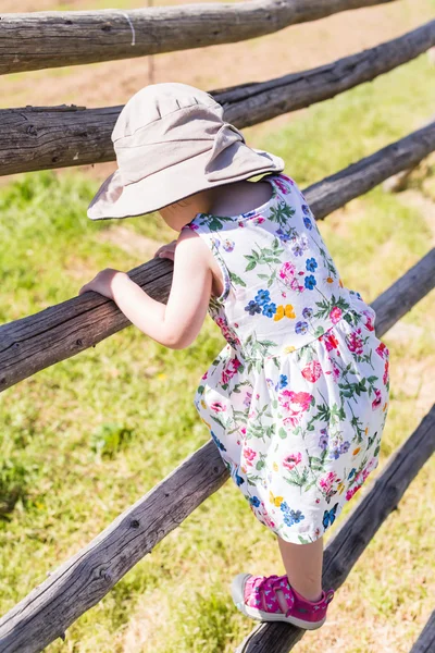 Toddler playing on the farm — Stock Photo, Image